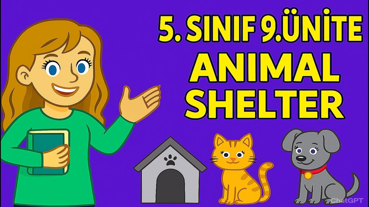 5.SINIF 9.ÜNİTE ANIMAL SHELTER Kelimeleri , Cümle Kalıpları