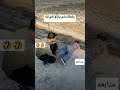 رفيقك يلي بتثق فيه تابعني تموت ضحك اضحك من قلبك عبد الرحمن لايك متابعه اشتراك 