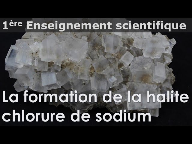 Cristaux : la formation de la halite - chlorure de sodium