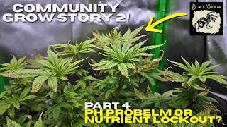 CAN SHE RECOVER?!?! Black Widow | Nutrient Lockout, pH Problems And Defoliation