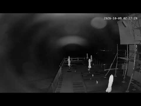 白馬五竜 アルプス平 北側 のライブ映像