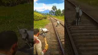 Cuộc sống hoang dã nơi núi rừng P1393