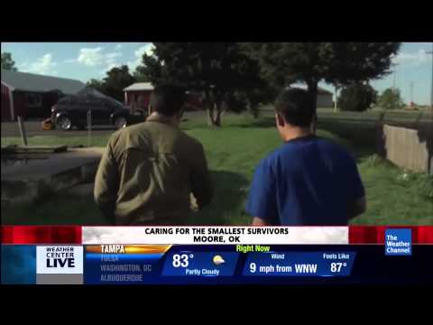 Video: Hoe dieren te helpen die getroffen worden door de Oklahoma Tornado