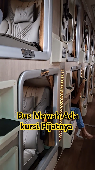 MJPM Muji Jaya JKT jepara Mewah Cocok Buat Parjalanan Jauh #shortvideo #shorts #mujijaya #busmania