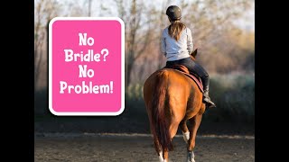 How to Ride a Horse Without a Bridle