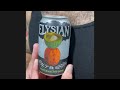 Elysian Salt and Seed - Beer Advent Calendar day 10