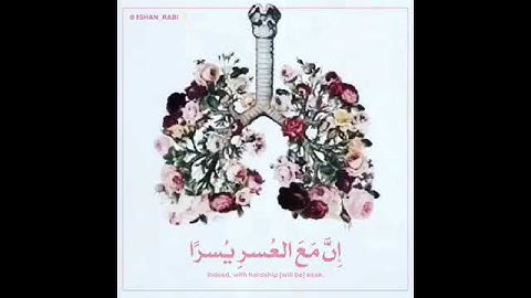 وديع اليمني..سورة الشرح..اللهم اشرح صدورنا...🙌🏻🌸🌿