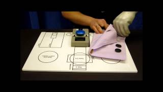 Michelangelo hand. SHAP test