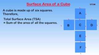 4. Net and Surface Area of a Cube Profile