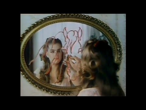 CM 1980 シルコット ブルック・シールズ
