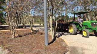 Moore Farms Botanical Garden: Hurricane Mathew Clean Up