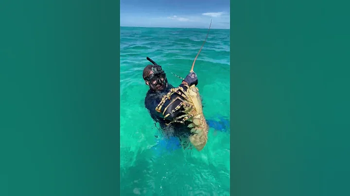 Hand Grabbing this GIANT LOBSTER! #shorts - DayDayNews