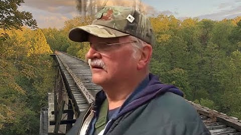 The Delphi Murders - Ron Logan Analysis