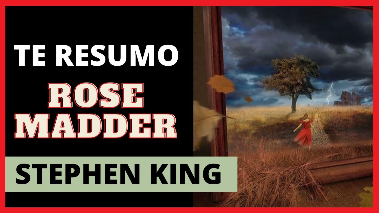 Te resumo El retrato de Rose Madder de Stephen King (Libro)
