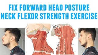 Fix forward head posture neck flexor strength wall lean exercise how to video