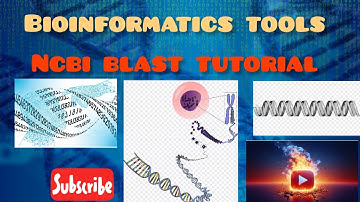 NCBI BLAST Tutorial #Biotic Brains # NCBI #blast 