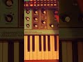 ionian - moog grandmother && korg arp 2600m #ambient #synth #jam