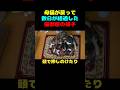 母猫が戻って数日が経過した猫部屋の様子 #猫 #子猫 #animalrescue