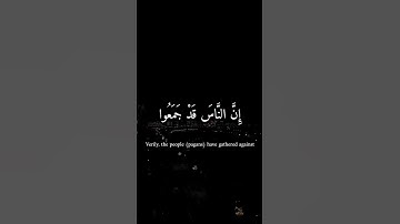 نهاوند سورة آل عمران بصوت القارئ الشيخ محمّد صديق المنشاوي #القران #المصحف