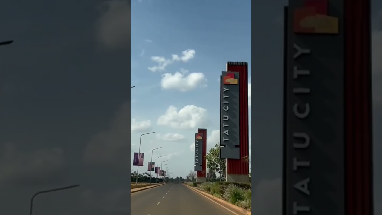 Tatu City