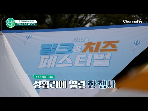 인삼 라테부터 철판 아이스크림까지?! 도심 속에서 펼쳐진 우유&치즈 축제 현장 | 행복한 아침 1920 회