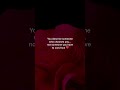 Read that again #quotes #love #relatable #youareoneofakind #shortvideo #sad #relationship #reels