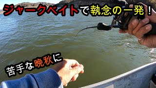 [バス釣り] 苦手な晩秋にジャークベイトで執念の一発！(メガバス、ワンテンR+3、megabass oneten r+3)