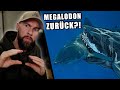 Ist der MEGALODON zurück?! - Riesige BISSWUNDE auf Weißem Hai entdeckt | Robert Marc Lehmann