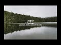 Redfeel Feelings Ahmed Abdurahimli Remix Redfeel Feelings Ahmed Abdurahimli Remix