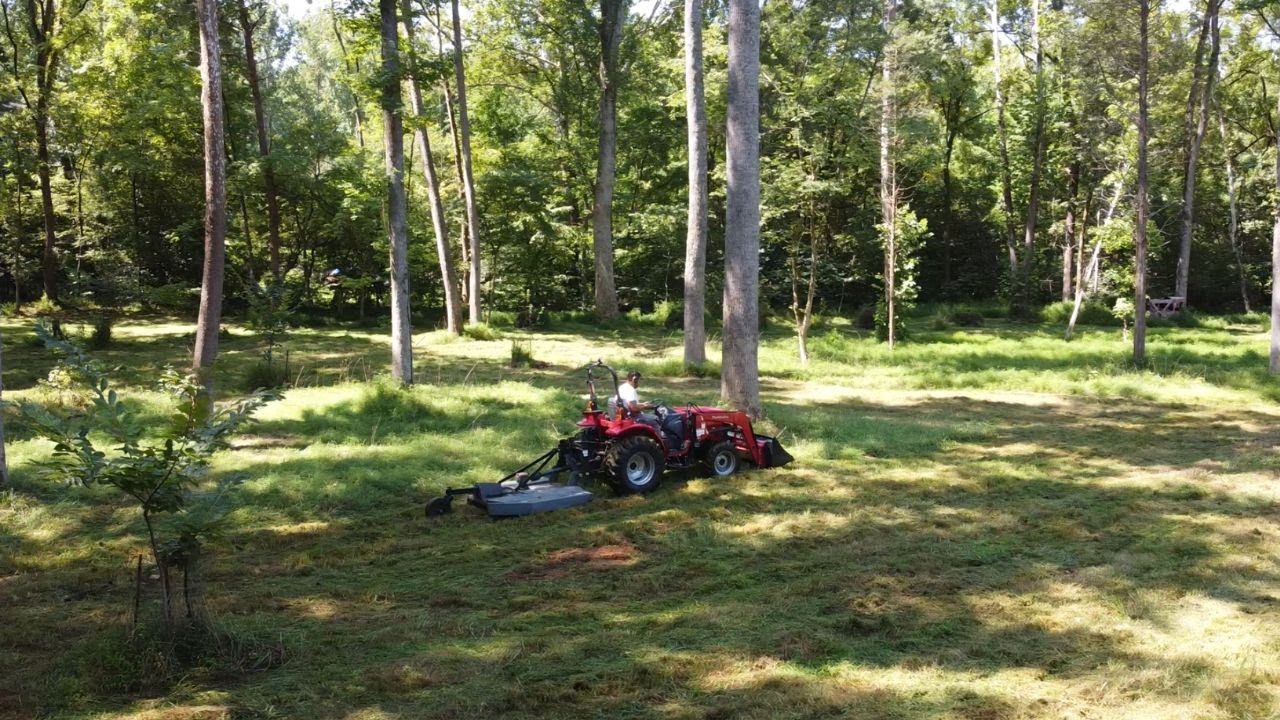 First Mowing This Year