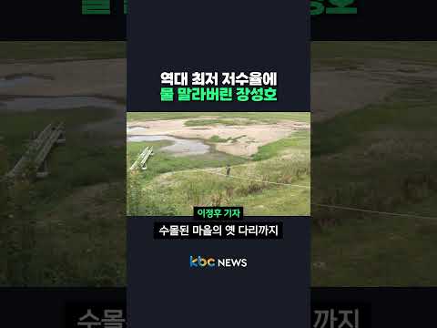 역대 최저 저수율에 물 말라버린 <strong>장성호</strong> #shorts