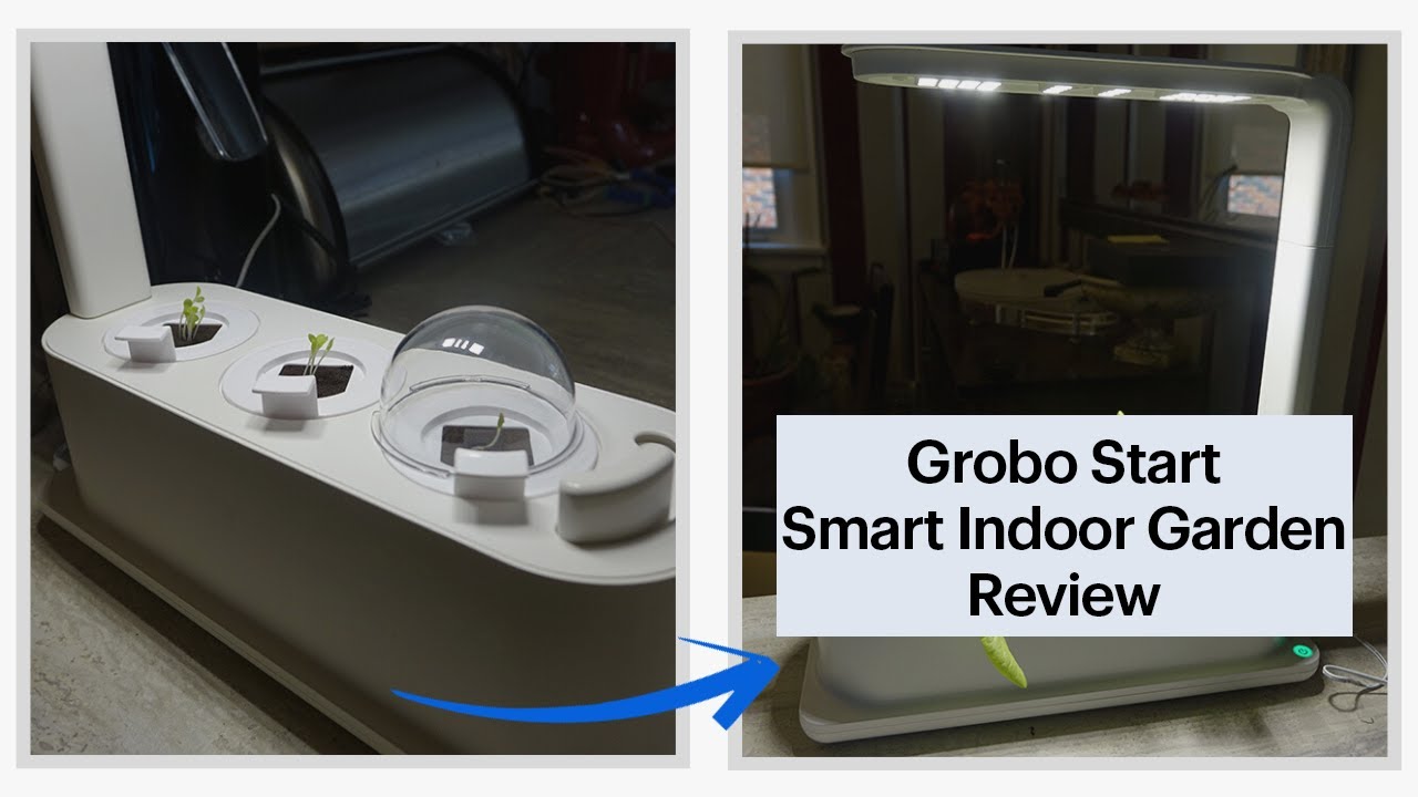 Grobo Start Smart Indoor Garden Review: Can it give you a green thumb?