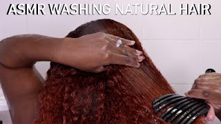 ASMR WASHING NATURAL HAIR | SCALP MASSAGE | SUDSY SOUNDS | BRUSHING HAIR #asmr #hairwashing
