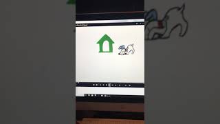 Opening To Baby Bach 2002 Dvd