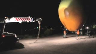 Nandos Reveals Big Mango Mystery