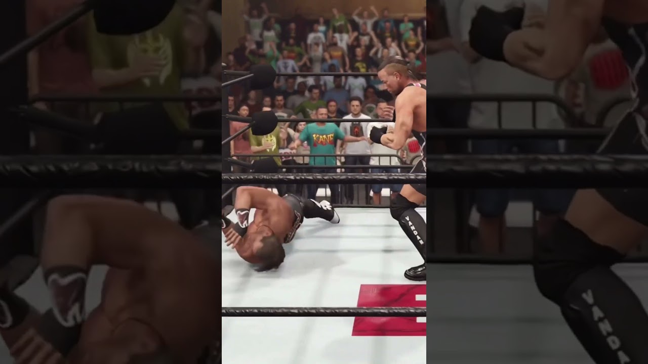 Rob Van Dam and Shawn Michaels should of had more matches together 