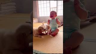 Puppy & Kitten Comfort A Crying Baby Part 1 Asmr