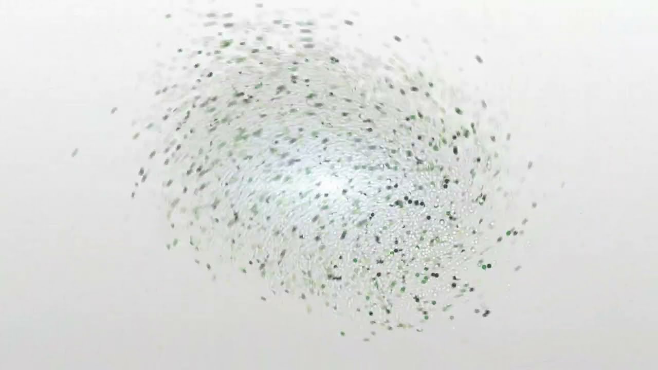 Master Hypnoterapeut uddannelse 2022