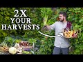 3 Simple Ways to Double Vegetable Garden Yields