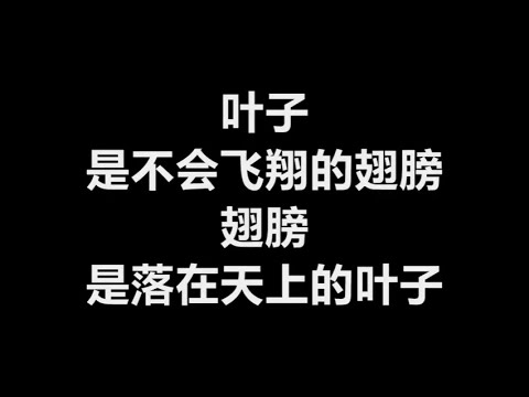 阿桑 - 《叶子》 [歌词]