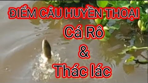 Câu Cá Rô & Thác Lác _ Mộc Hóa Long An. @tvchimcacanhfishing