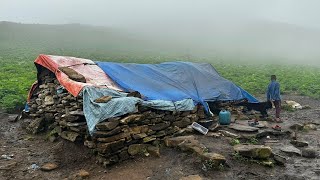 Nepali Mountain Village Life | Rainy Day | Peaceful and Relaxation Mountain Village Lifestyle |