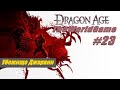 Прохождение Dragon Age: Origins [#23] (Убежище Джарвии)