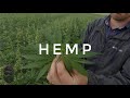 120 Acre HEMPire!