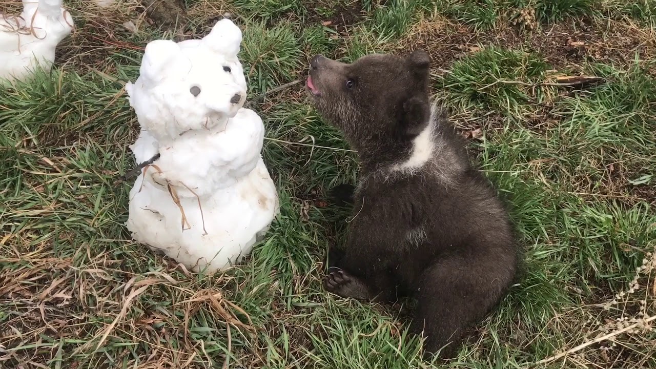 Berkley’s first snow!!