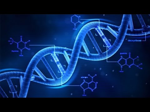 How Long is DNA?