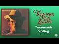 Miniature de la vidéo de la chanson Tecumseh Valley