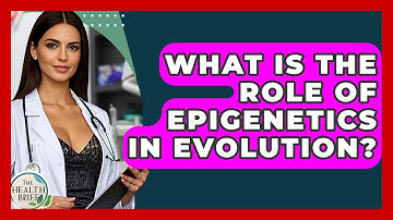 What Is The Role Of Epigenetics In Evolution? - The Health Brief