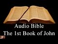 The First Book of John  - NIV Audio Holy Bible - High Quality and Best Speed - Book 62
