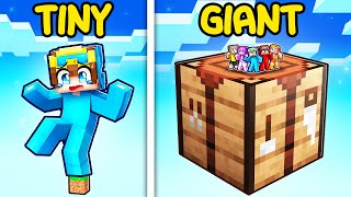 TINY vs GIANT ONE BLOCK In Minecraft!